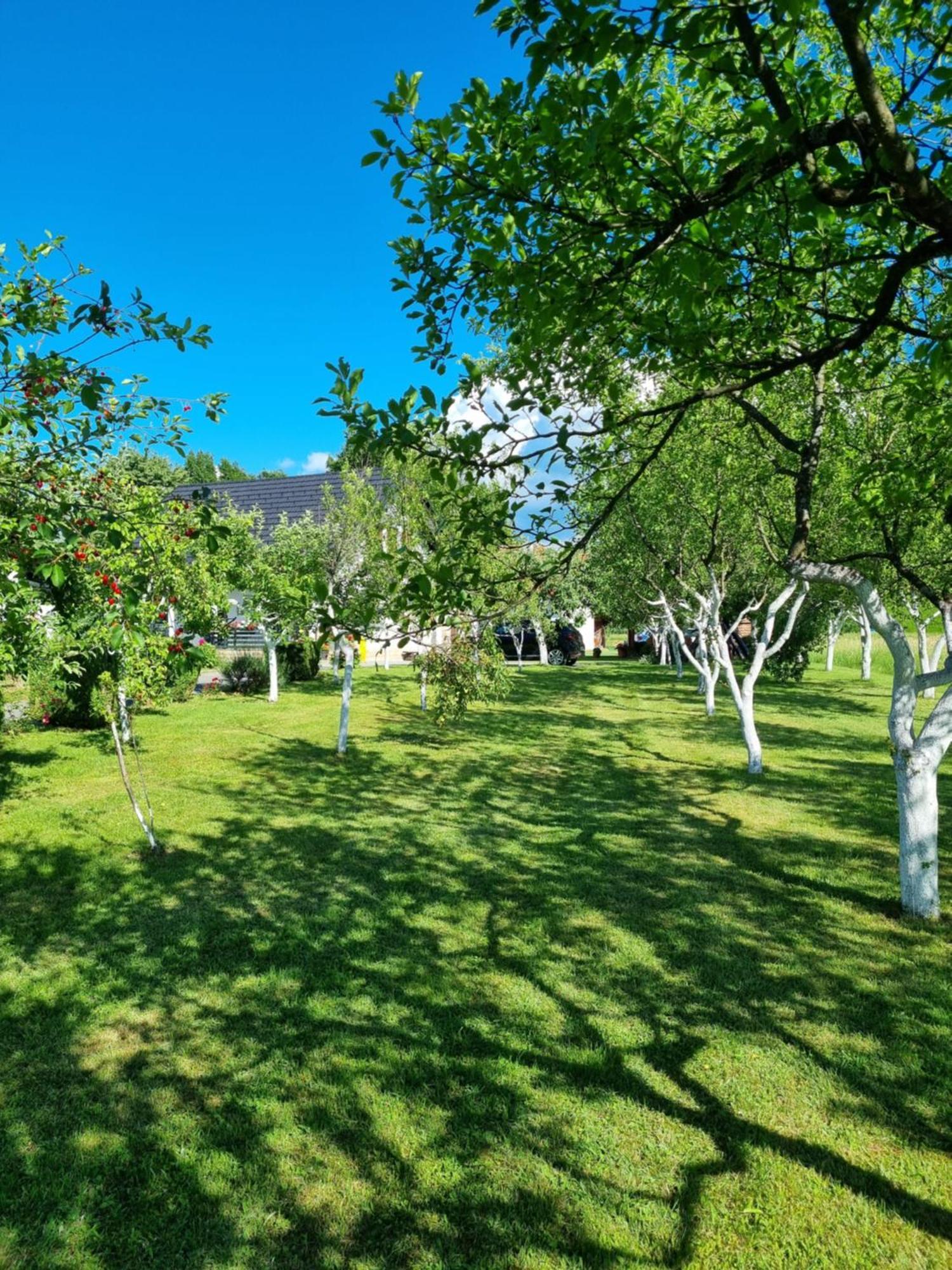 Apartment Rosandic Smoljanac Bagian luar foto